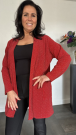Glitter vest Roxane Rood/Rood