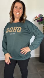 Sweater Soho flessen groen