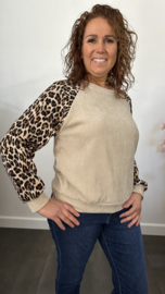 Velvet sweater panter sparkle Zand