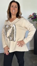 Sweater glitter gymp zand