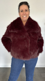 Kort bontjasje bordeaux (fake fur)