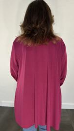 Vest met sjaalkraag brenda aubergine