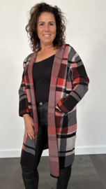 Geruit vest met capuchon stone