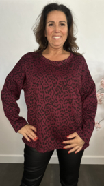 Panter sweater Maud Bordeaux