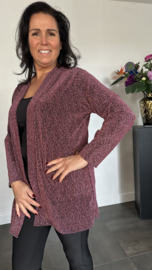 Glitter vest Roxane Roze