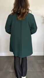 Mantel Gina Flessen groen