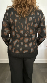 Gebreid vest Panter Zwart