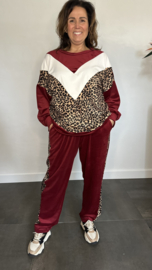 2-Delig comfy pak Velvet panter +Size Bordeaux