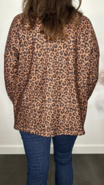 Baby rib truitje panter Bruin/Choco