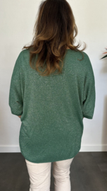 Trui silver sparkle groen +Size
