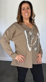 Sweater glitter gymp taupe