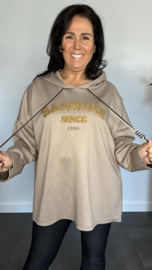 Sweater Sasmode taupe