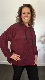 Velvet trui zilver glitter met capuchon Bordeaux