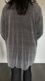 Glitter vest Roxane Zilver