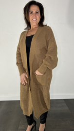Lang grof gebreid vest met pofmouw zilver sparkle camel