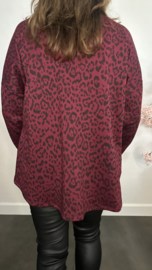 Panter sweater Maud Bordeaux