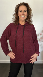 Velvet trui zilver glitter met capuchon Bordeaux