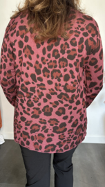 Trui Bibi panter Bordeaux