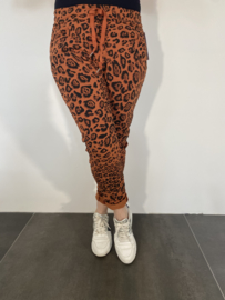 Joggjeans luipaard stone