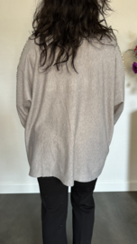 Trui Melany parels & glitters grijs