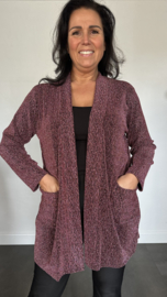 Glitter vest Roxane Roze