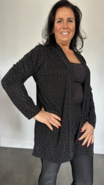 Glitter vest Roxane Zwart