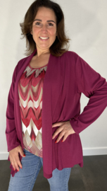 Vest met sjaalkraag brenda aubergine