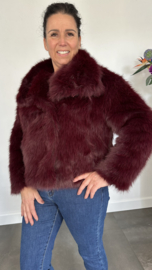 Kort bontjasje bordeaux (fake fur)