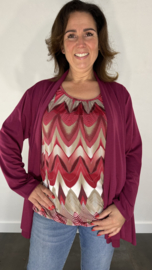 Vest met sjaalkraag brenda aubergine
