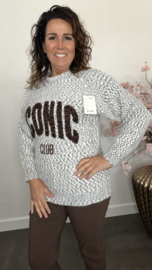 Gebreide trui Iconic Grijs/Ecru