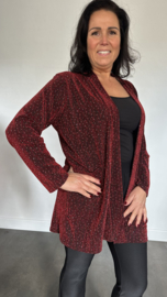 Glitter vest Roxane Zwart/Rood