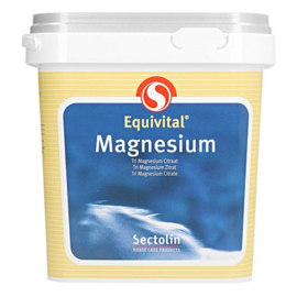 Sectolin Equivital Magnesium Citraat