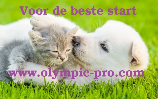 Olympic