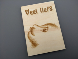 Veel liefs, kat