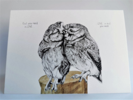 Owl you need is love