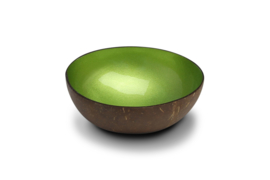 Groen metaalkleurige kokosnootkom