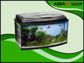 AQUA4 FAMILY  80 panorama aquarium set compleet