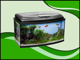 Classic box 100 panorama aquarium