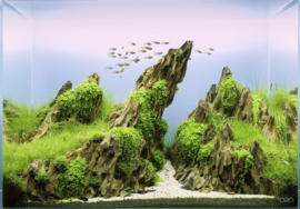 Dragon stone 15-25cm - aquarium decoratie stenen