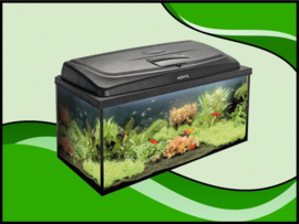 Classic box 60 recht aquarium