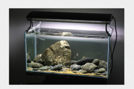 Brook stone 10-15cm - aquarium decoratie stenen