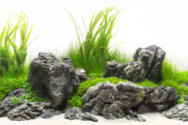 Grey Luo Hanshi 10-15cm - aquarium decoratie stenen