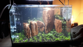 Red Wood stone 20-30cm - aquarium decoratie stenen