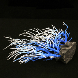 Aquariumdecoratie / Koraal blauw,wit As-139