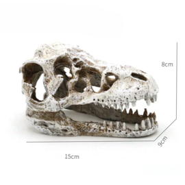 Prehistorische schedel 8cm / aquariumdecoratie As-282