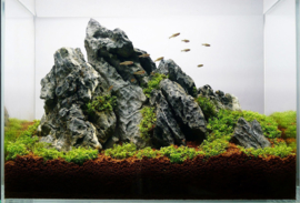Ordinairy Tsinglung 20-30cm  - aquarium decoratie steen