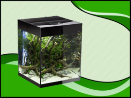 Aquael Glossy cube 50 D&N zwart aquarium