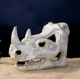Prehistorische schedel / Aquarium decoratie 15cm As-219