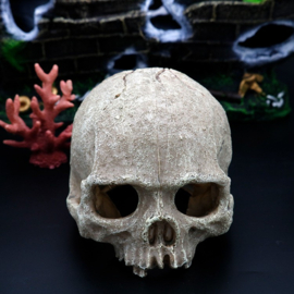 Aquarium decoratie / Schedel As-216