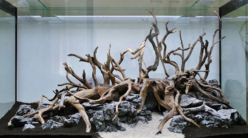 Kostuums magnetron Kwelling Spider wood 50-65cm aquarium decoratie hout | Spider wood | Aquael Shop